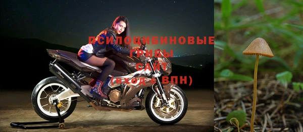 эйфоретик Красноперекопск