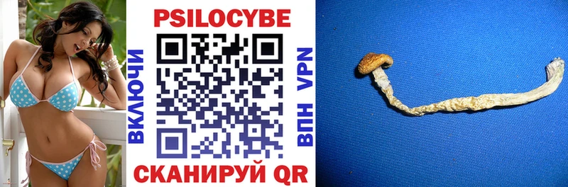 Галлюциногенные грибы прущие грибы  где купить наркотик  Фокино 
