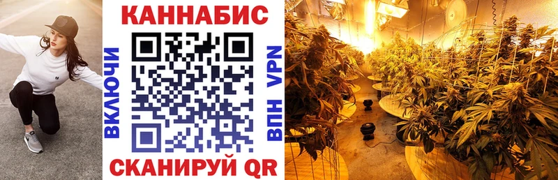 Шишки марихуана тримм  купить наркотики сайты  Фокино 